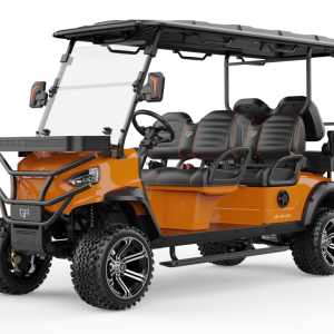 Kinex Cruise (4+2 Seater)